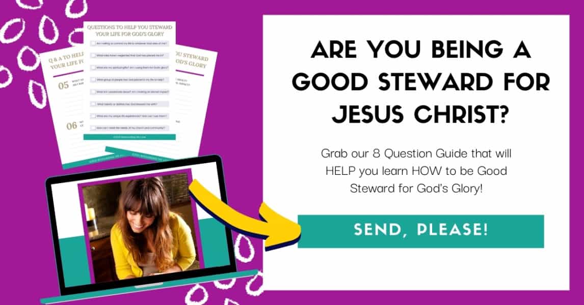 FREE download on how to be a good steward 8 question guide