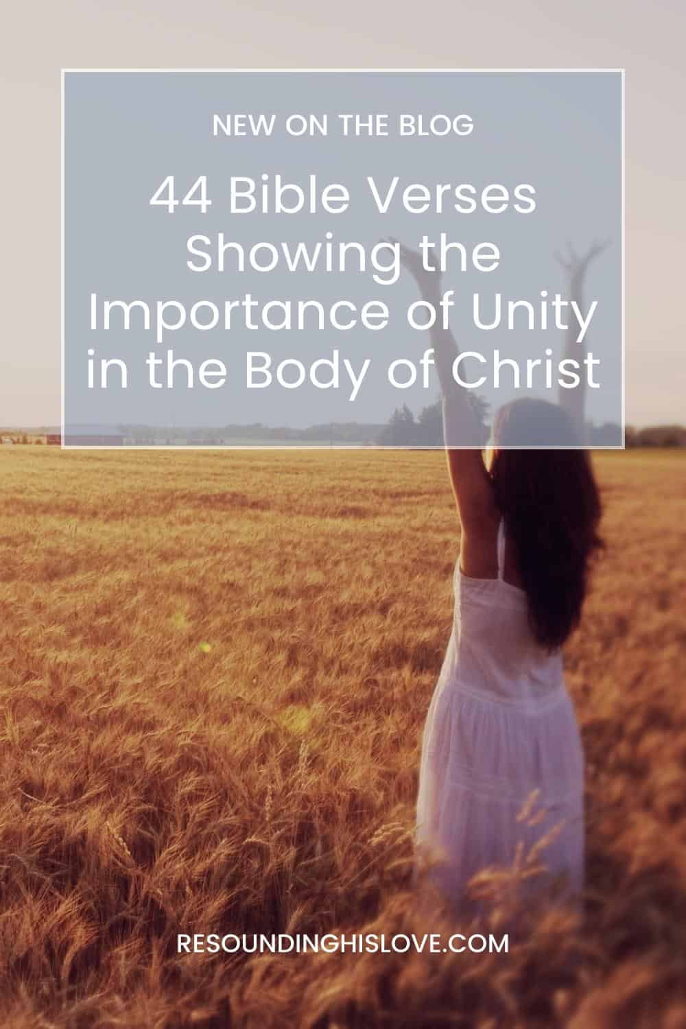 Body Of Christ The Importance Of Unity And 44 Verses To Read Now