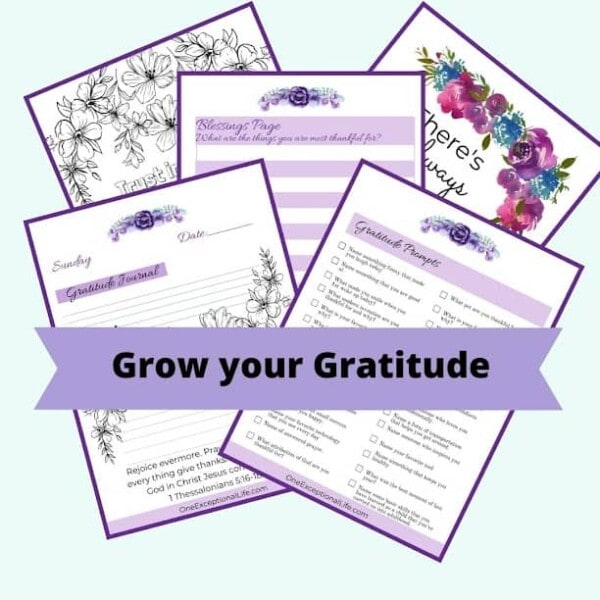 Grow Your Gratitude