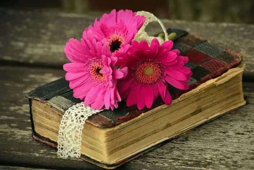 an image of a worn bible with a pink flower on top A Simple Look At 1 Corinthians 13 The Love Chapter